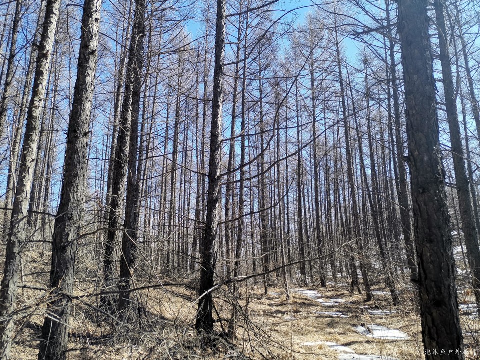 微信图片_20220311074749