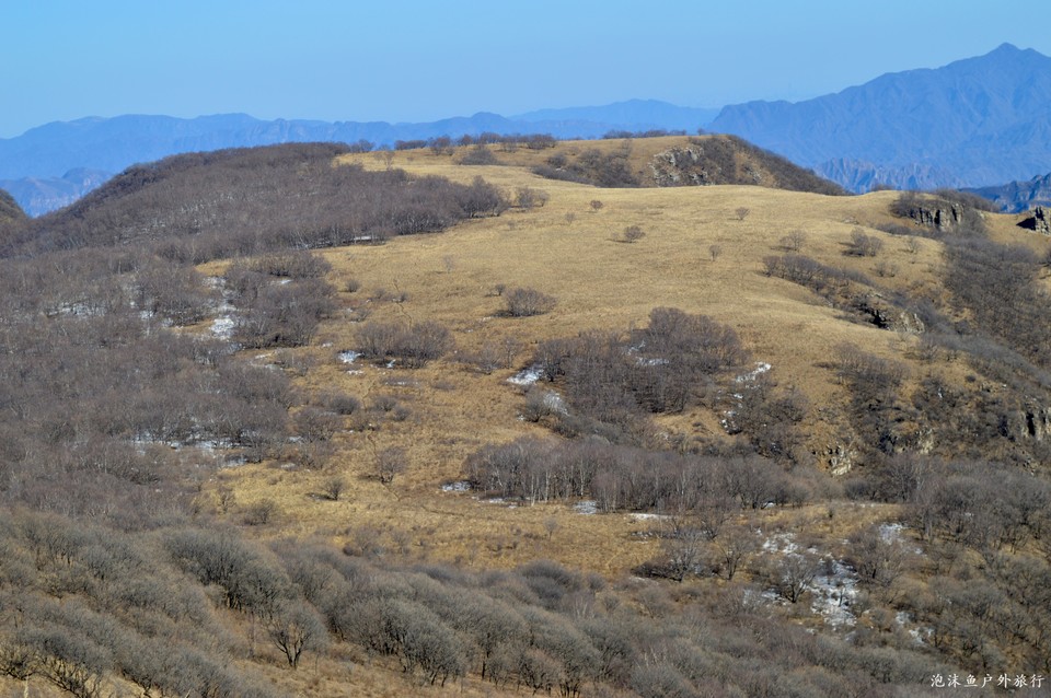 微信图片_20220311074753