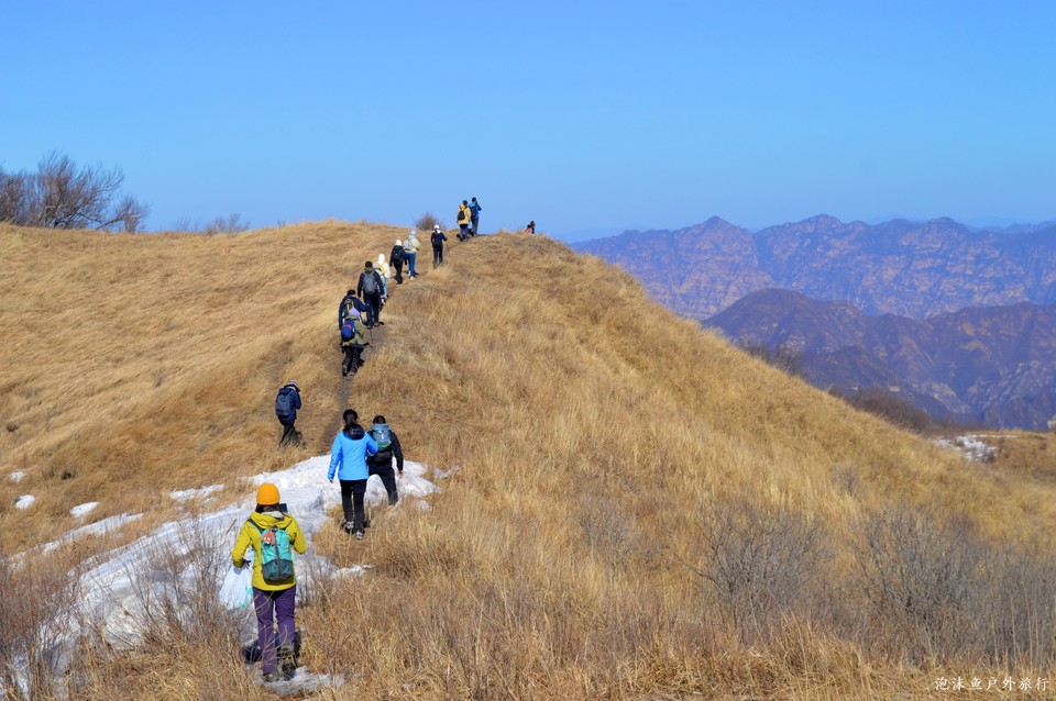 微信图片_20220311074756