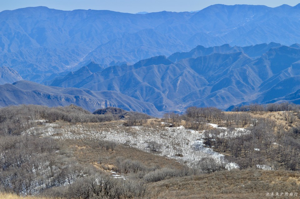 微信图片_20220311074808