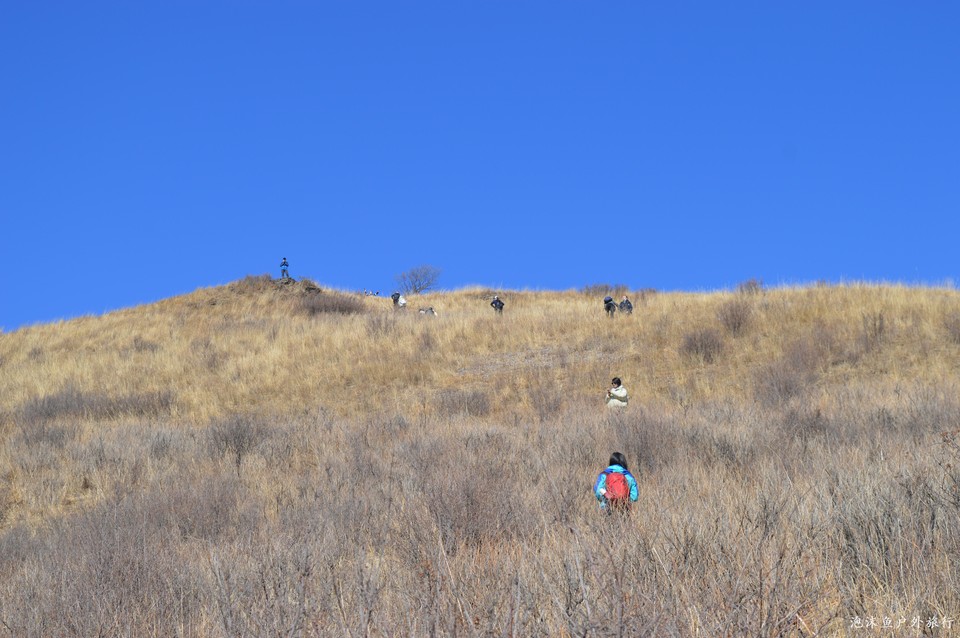 微信图片_20220311074812