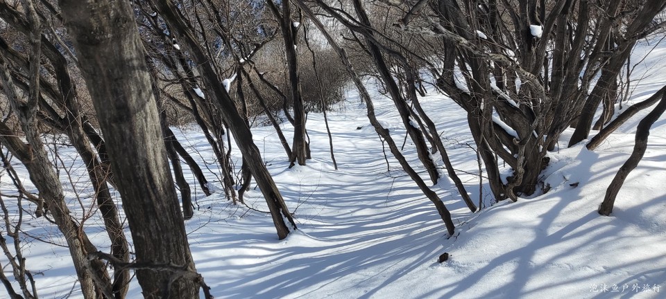 微信图片_20220325083431