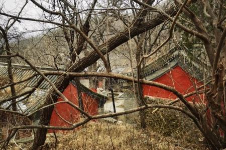 【初级徒步】【03.30 周日】广慧寺-定都阁-潭柘寺穿越