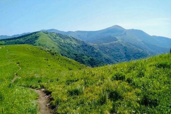 【7.20周六】海坨山初级徒步 高山草甸 花海云海触手可及Ⅰ海坨–南大梁