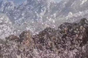 【2022.3.26】凤凰岭-白虎涧穿越