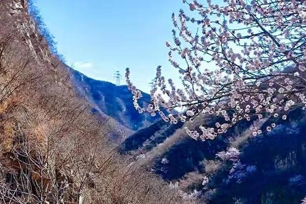 【4.3 周日】(成行) 京郊西南徒步赏花：千灵山-芦潭古道-戒台寺