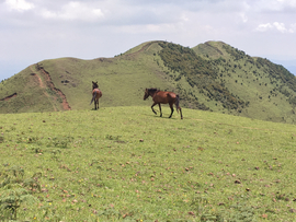 微信图片_20210702154954