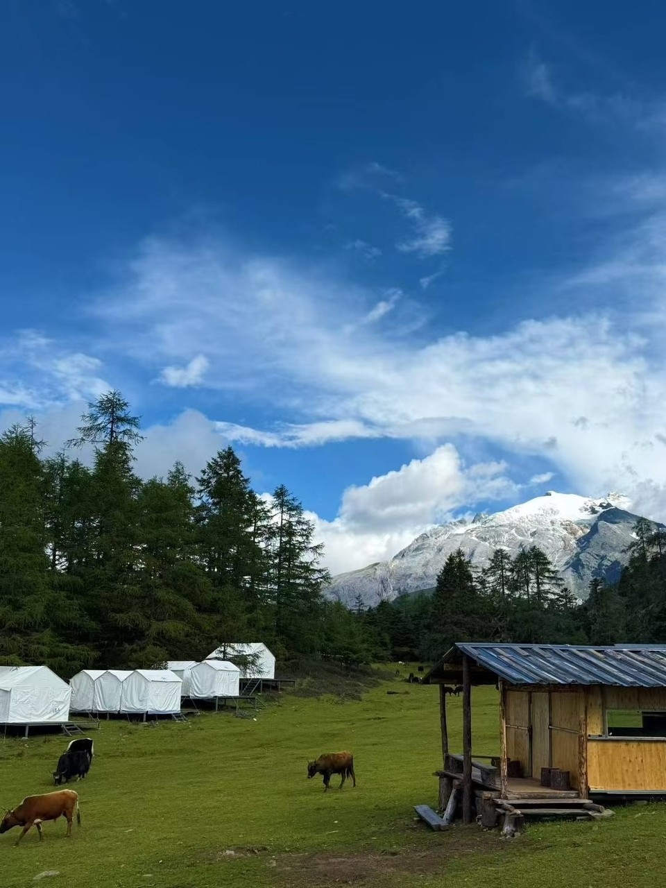 微信图片_20260225160612_199_11