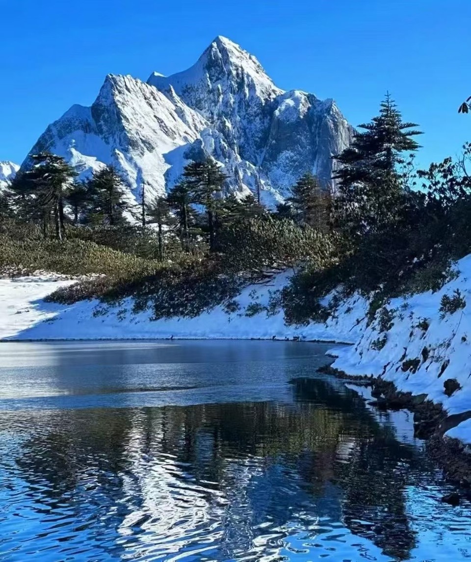 微信图片_20260225160553_190_11