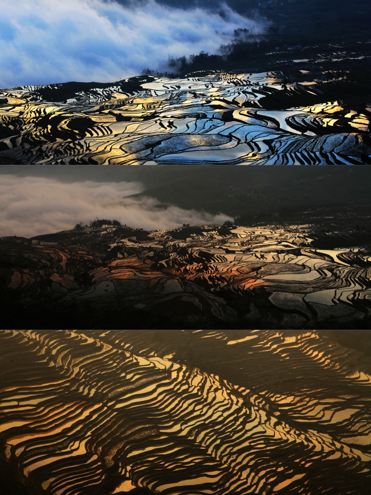 会员199入会，冲抵400活动费