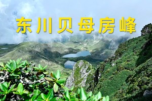 徒步佬最爱的野生线----东川 贝母房峰