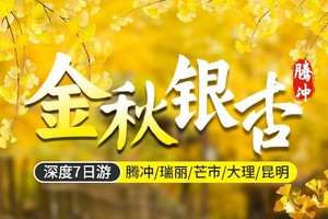 【2024金秋银杏】腾冲和顺银杏村-瑞丽-芒市-大理诺邓古村-无量山樱花谷7天游