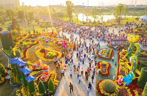 美极了【11月29号盛大开幕，特价88元】一年一度中山小榄菊花展+横栏花洲3KM花海长廊，惊艳无比~