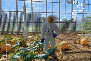 科普e路 ，农田小专家（自驾游）