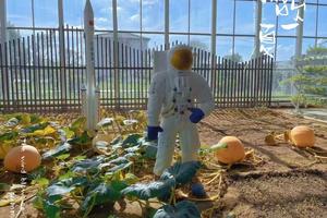 科普e路 ，农田小专家（自驾游）