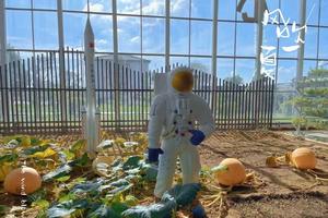 科普e路 ，农田小专家（自驾游）