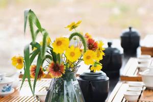 科普e路 ，茶田小专家（自驾游）