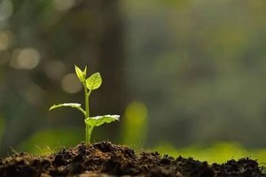 【春意盎然】三月春风，正因有你！相约去植树、滑索、射击、水弹cs！