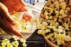 “这朵花不简单”----科普e路研学自然课堂 ，茶花小专家（自驾游）