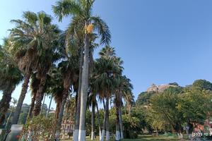 【爱宝贝亲子会●带你过大年】厦门休闲度假★亲子5日游