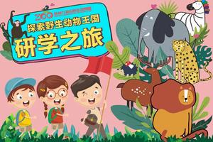 【春日游园】神奇动物在哪里｜徐州九顶山动物园研学之旅 