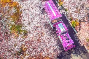 【春日游园】无锡拈花湾、鼋头渚高端精品亲子两日游（大巴线/高铁线）