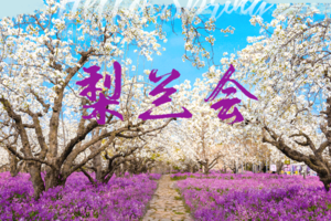 【春季赏花●爱宝贝】三台山纳田花海、项王故里纯玩一日游