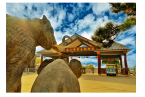 【爱宝贝】 宝山前野生动物世界纯玩一日游