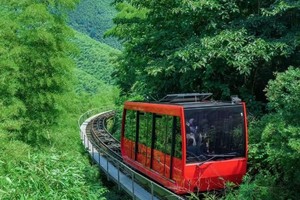 【国庆爱宝贝】溧阳博物馆，天目湖、南山竹海休闲度假三日游