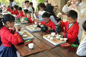 【爱宝贝】科普e路 ，茶田小专家（自驾游）上下午场