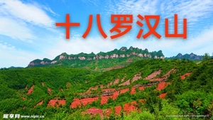 【3月22日】樱花、桃花、黄花风铃、三角梅……来南沙十八罗汉山，抢先感受初春盛景