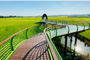 【11月7日】爆款【魅力东莞】金秋周屋稻田景，月醉西溪古村美，打卡独家摄影基地！