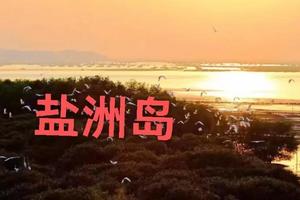 【4月29-30日惠东深度游】盐洲岛观鸟+轻徒彩石滩+西虎岛赶海+网红双月湾+海龟湾+小星山浮潜+帆船出海+磨子石公园