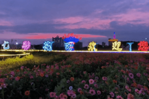 【6月10日晚】首秀东莞！浏阳焰火为“荷”而来，因爱绽放，七彩花田夜游荷花季