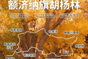 二期火线！邂逅胡杨·胡杨林深度游六天（休闲纯玩）大漠胡杨林|库布其沙漠|黑城弱水怪树林|古居延泽|