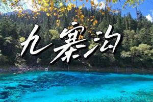 二期【11月13-17日】童话之旅--九寨沟+黄龙+都江堰+熊猫乐园+成都市区深秋游5天4晚