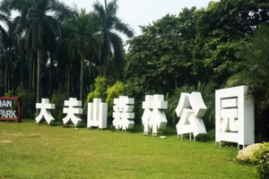 【12月3日】番禺大夫山森林公园，秋色蔓延--骑行徒步旅拍圣地