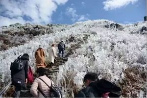 【2024年1月20-21】金子山赏【雾凇冰雪】、仙境云海、登【玻璃天梯廊桥】、 阳山牧民山、连州菜心基地、纯玩2天