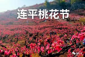 【开放报名2月25日】2024河源连平桃花节大型徒步活动