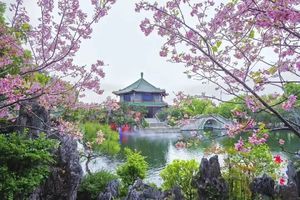 【3月24日】广州宝墨园+ 沙湾古镇美食之旅