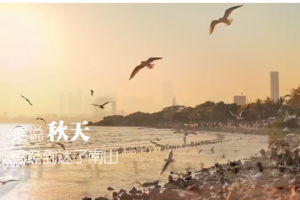 【3月24日】2024粤港澳大湾区花展+约会海鸥+中英街纯玩