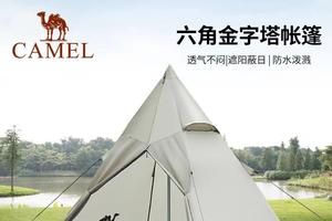 骆驼户外露营野炊单层带金字塔帐篷