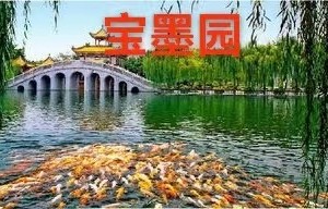 【6月2日】广州宝墨园+ 沙湾古镇美食之旅
