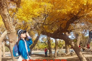 【10月5日-10日@8-13日】轻奢胡杨---内蒙额济纳胡杨林深度6天