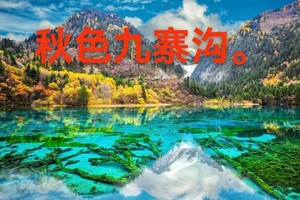 纯净九寨 --- 九寨沟—黄龙—都江堰/熊猫乐园  纯玩5日游