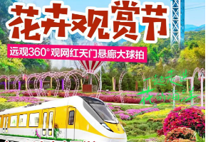 【11月24日】广东首条旅游列车专线：畅游花卉庄园·游黄腾十八瀑”远观天门悬廊大球拍纯玩    