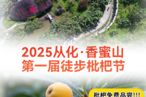 【3月15日】2025从化·香蜜山首届徒步枇杷节火热招募中！