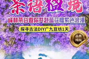 五一【英西】茶语“楹”境 峰林茶谷邀你共赴蓝花楹紫色浪漫