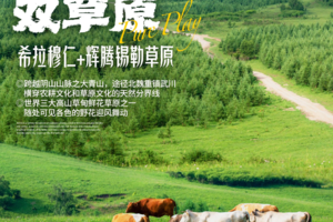 【7月17-21日】自组队出发内蒙纯玩--火星攻略 希拉穆仁、辉腾锡勒、乌兰哈达火山、响沙湾、大昭寺5日游