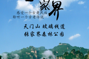 【8月21-24】 网红长沙·森林公园·天子山·袁家界四天